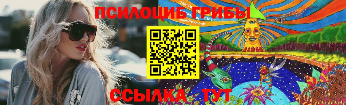 Псилоцибиновые грибы GOLDEN TEACHER  Псилоцибиновые грибы MAGIC MUSHROOMS  магазин продажи   Златоуст  Вход с VPN 